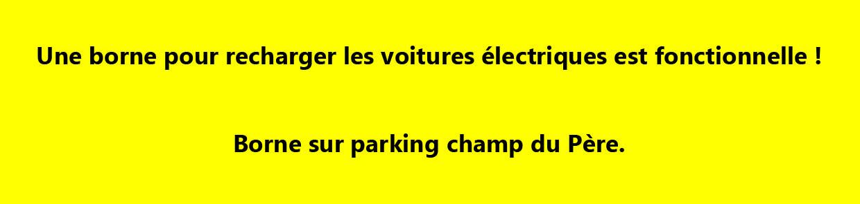 Borne electrique 1
