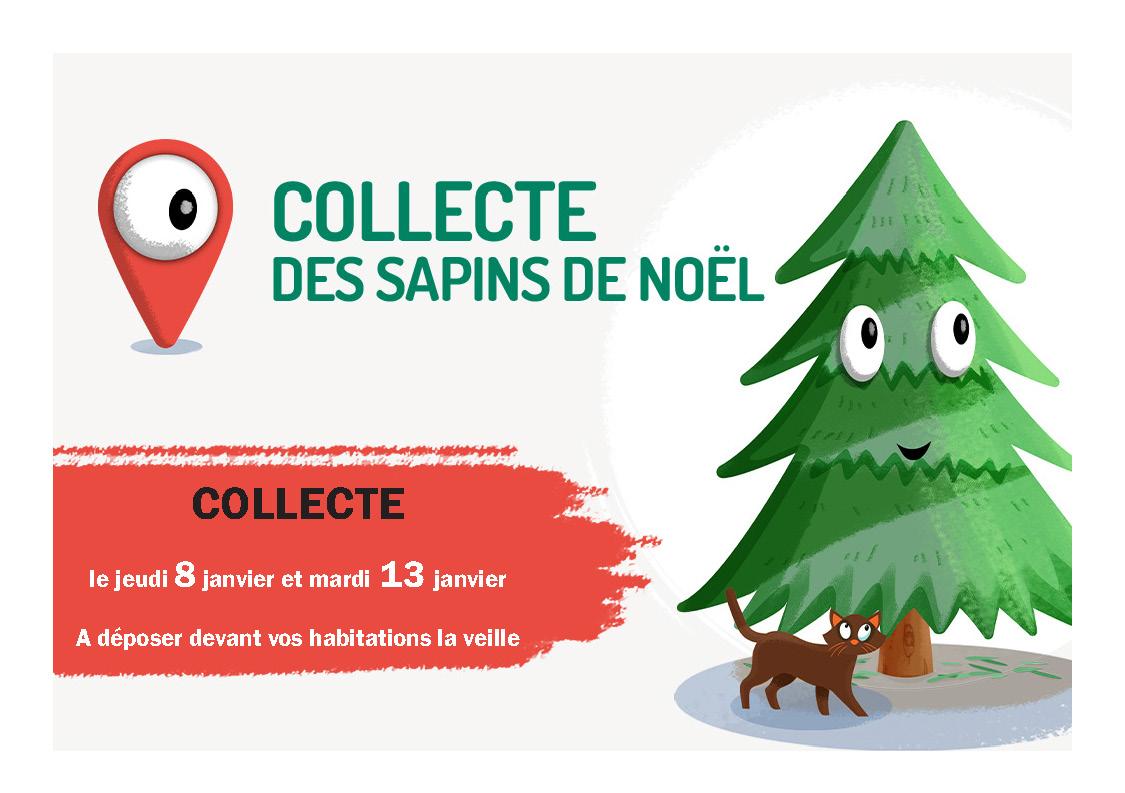 Collecte sapins