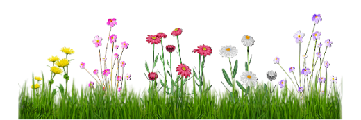 Frise fleurs